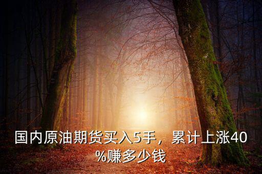 國(guó)內(nèi)原油期貨買入5手，累計(jì)上漲40%賺多少錢