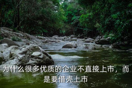 為什么很多優(yōu)質(zhì)的企業(yè)不直接上市，而是要借殼上市