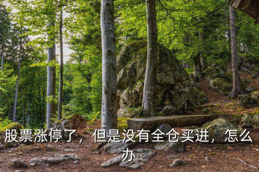 股票漲停了，但是沒有全倉買進，怎么辦