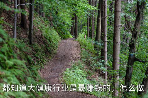 都知道大健康行業(yè)是最賺錢(qián)的，怎么做