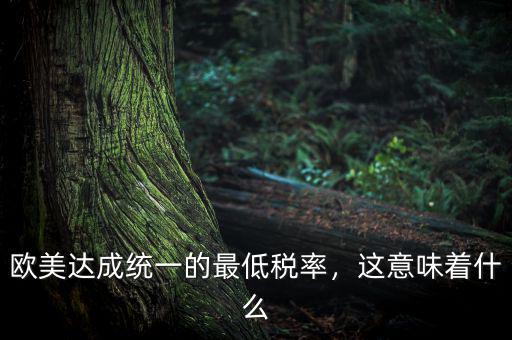 歐美達(dá)成統(tǒng)一的最低稅率，這意味著什么