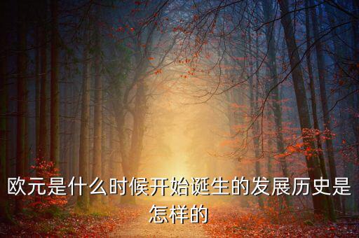 歐元是什么時(shí)候開(kāi)始誕生的發(fā)展歷史是怎樣的
