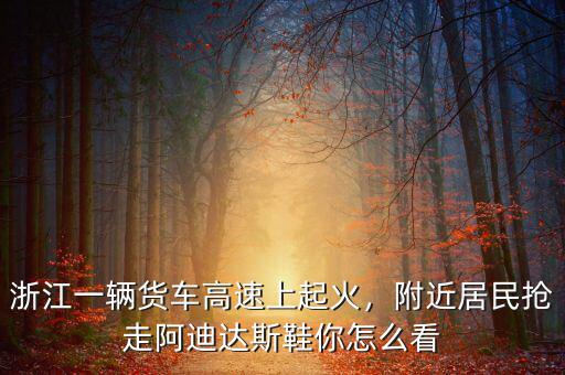 浙江一輛貨車高速上起火，附近居民搶走阿迪達(dá)斯鞋你怎么看