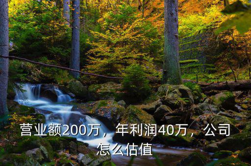 營(yíng)業(yè)額200萬(wàn)，年利潤(rùn)40萬(wàn)，公司怎么估值