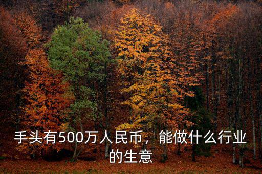手頭有500萬(wàn)人民幣，能做什么行業(yè)的生意