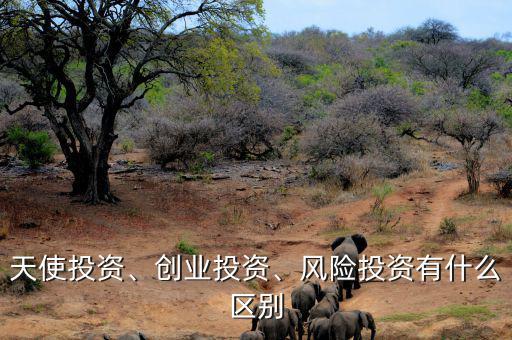天使投資、創(chuàng)業(yè)投資、風(fēng)險(xiǎn)投資有什么區(qū)別