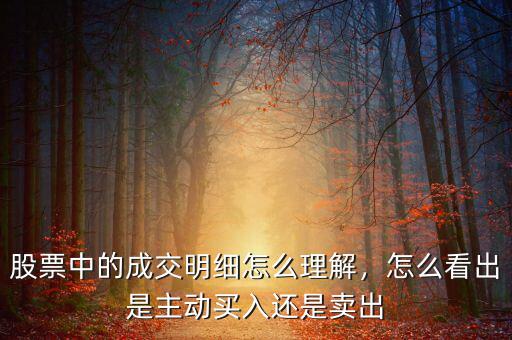 股票中的成交明細(xì)怎么理解，怎么看出是主動買入還是賣出