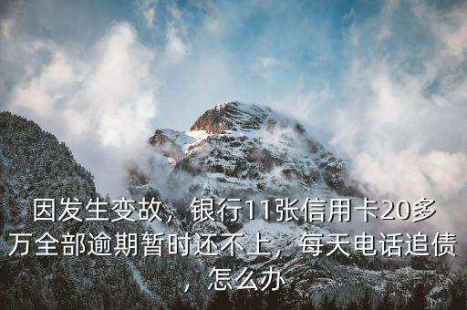 因發(fā)生變故，銀行11張信用卡20多萬全部逾期暫時(shí)還不上，每天電話追債，怎么辦