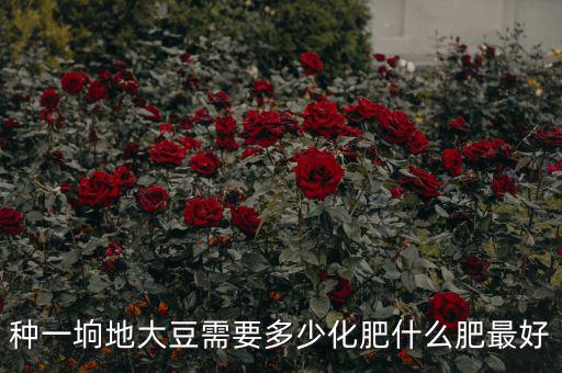 一晌地能產(chǎn)多少大豆,實(shí)施大豆振興計劃