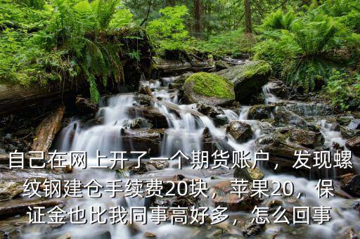 自己在網上開了一個期貨賬戶，發(fā)現螺紋鋼建倉手續(xù)費20塊，蘋果20，保證金也比我同事高好多，怎么回事