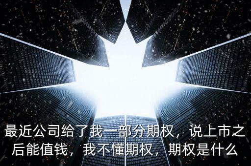 最近公司給了我一部分期權(quán)，說(shuō)上市之后能值錢，我不懂期權(quán)，期權(quán)是什么