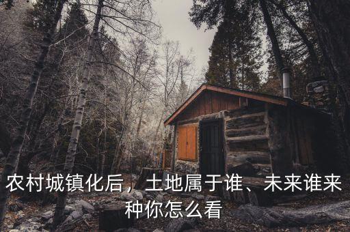 農(nóng)村城鎮(zhèn)化后，土地屬于誰、未來誰來種你怎么看