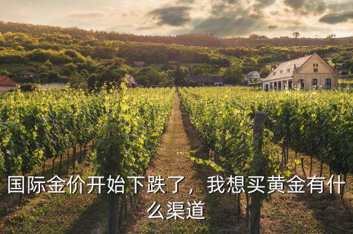 國際金價開始下跌了，我想買黃金有什么渠道