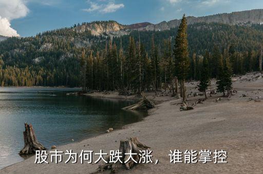 股市為何大跌大漲，誰(shuí)能掌控