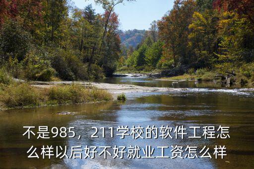 不是985，211學(xué)校的軟件工程怎么樣以后好不好就業(yè)工資怎么樣