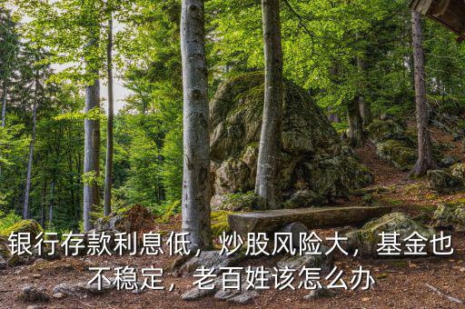 銀行存款利息低，炒股風(fēng)險(xiǎn)大，基金也不穩(wěn)定，老百姓該怎么辦