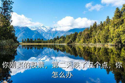 你剛買的股票，第二天跌了五個點(diǎn)，你怎么辦