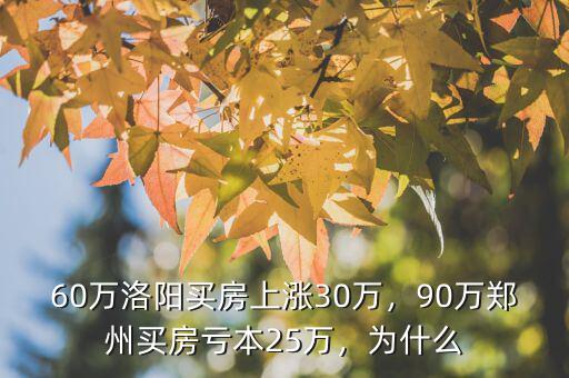 60萬(wàn)洛陽(yáng)買房上漲30萬(wàn)，90萬(wàn)鄭州買房虧本25萬(wàn)，為什么