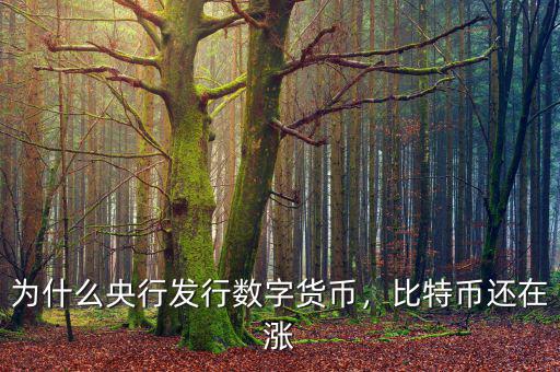 為什么央行發(fā)行數(shù)字貨幣，比特幣還在漲