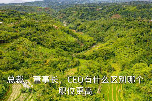 總裁、董事長、CEO有什么區(qū)別哪個(gè)職位更高