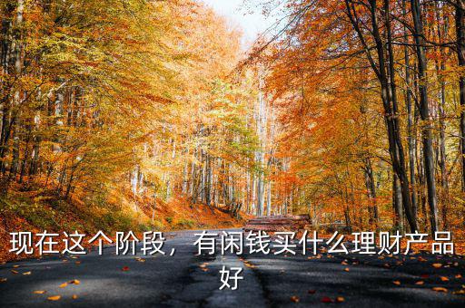 現(xiàn)在這個(gè)階段，有閑錢買什么理財(cái)產(chǎn)品好