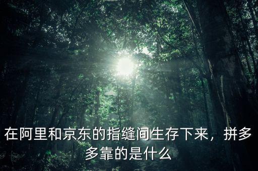在阿里和京東的指縫間生存下來，拼多多靠的是什么