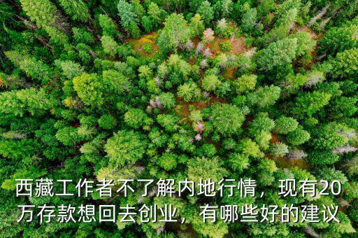 西藏工作者不了解內(nèi)地行情，現(xiàn)有20萬存款想回去創(chuàng)業(yè)，有哪些好的建議