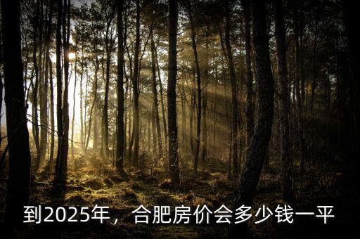 到2025年，合肥房價會多少錢一平