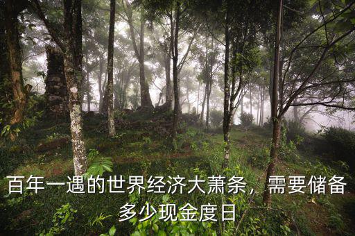 百年一遇的世界經(jīng)濟大蕭條，需要儲備多少現(xiàn)金度日