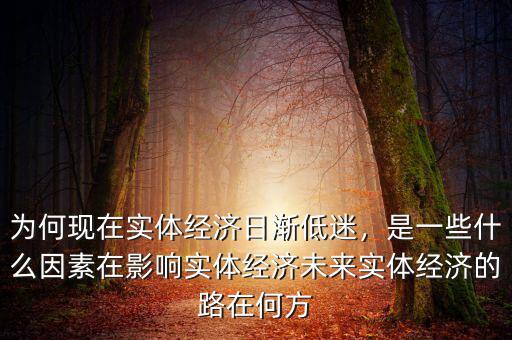 為何現(xiàn)在實體經(jīng)濟日漸低迷，是一些什么因素在影響實體經(jīng)濟未來實體經(jīng)濟的路在何方