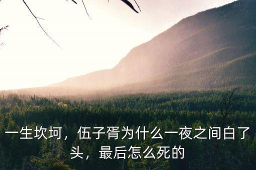 一生坎坷，伍子胥為什么一夜之間白了頭，最后怎么死的
