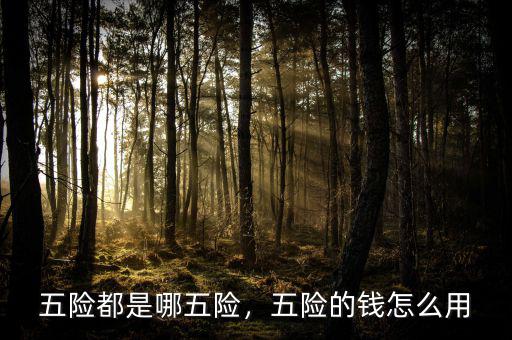 五險(xiǎn)都是哪五險(xiǎn)，五險(xiǎn)的錢怎么用