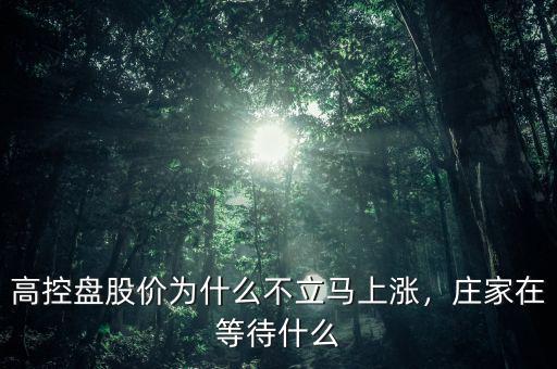 高控盤股價為什么不立馬上漲，莊家在等待什么