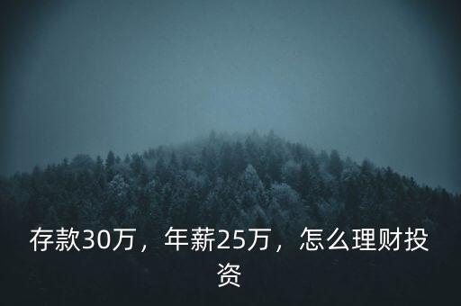 存款30萬(wàn)，年薪25萬(wàn)，怎么理財(cái)投資