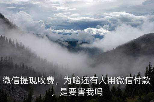 微信提現(xiàn)收費(fèi)，為啥還有人用微信付款，是要害我嗎
