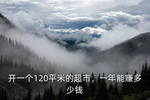 開一個120平米的超市，一年能賺多少錢