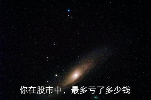 你在股市中，最多虧了多少錢