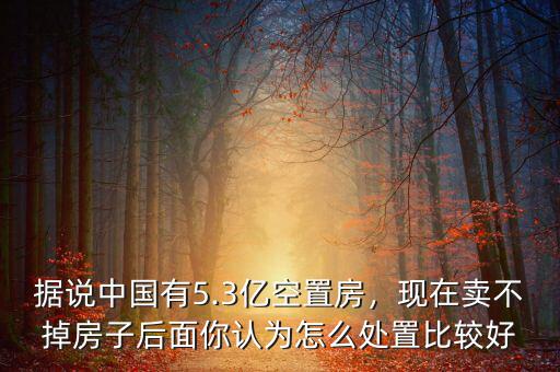 據(jù)說(shuō)中國(guó)有5.3億空置房，現(xiàn)在賣(mài)不掉房子后面你認(rèn)為怎么處置比較好