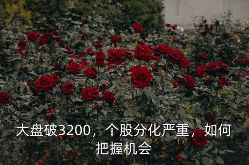 大盤破3200，個(gè)股分化嚴(yán)重，如何把握機(jī)會(huì)