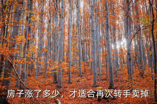 房子漲了多少，才適合再次轉(zhuǎn)手賣掉
