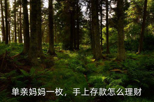 單親媽媽一枚，手上存款怎么理財