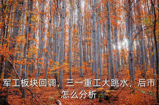 軍工板塊回調，三一重工大跳水，后市怎么分析