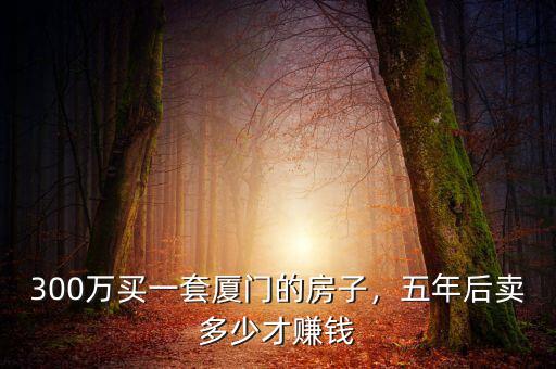 300萬買一套廈門的房子，五年后賣多少才賺錢