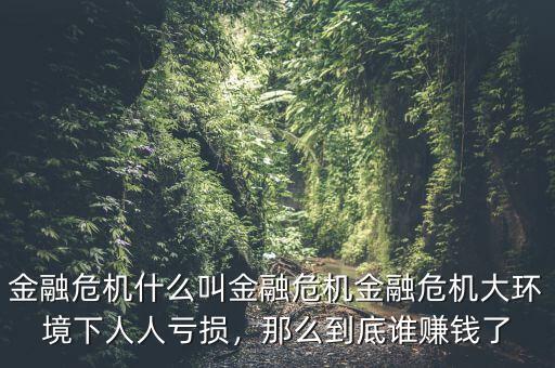 金融危機(jī)什么叫金融危機(jī)金融危機(jī)大環(huán)境下人人虧損，那么到底誰賺錢了