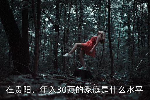 在貴陽，年入30萬的家庭是什么水平