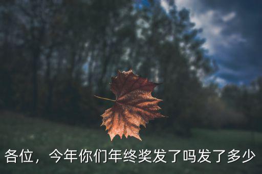各位，今年你們年終獎發(fā)了嗎發(fā)了多少