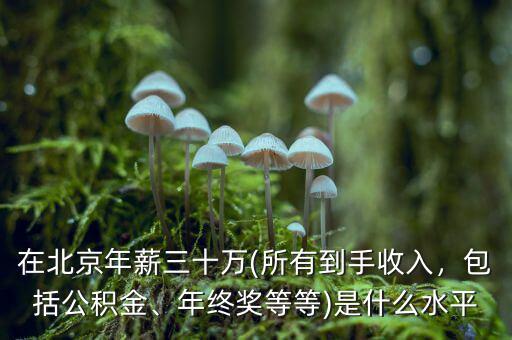 在北京年薪三十萬(wàn)(所有到手收入，包括公積金、年終獎(jiǎng)等等)是什么水平