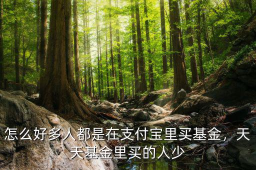 怎么好多人都是在支付寶里買基金，天天基金里買的人少