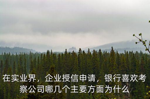 在實業(yè)界，企業(yè)授信申請，銀行喜歡考察公司哪幾個主要方面為什么
