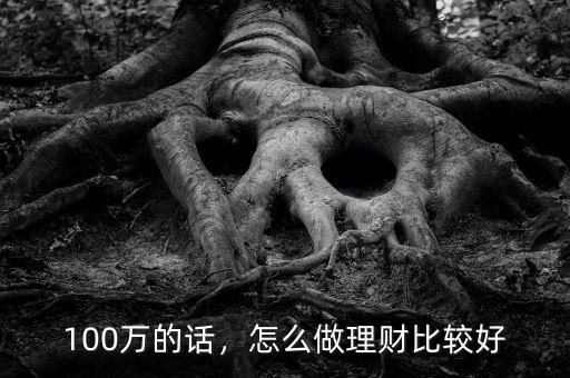 100萬(wàn)的話，怎么做理財(cái)比較好
